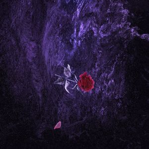 欧洲熟妇❌❌❌❌❌
